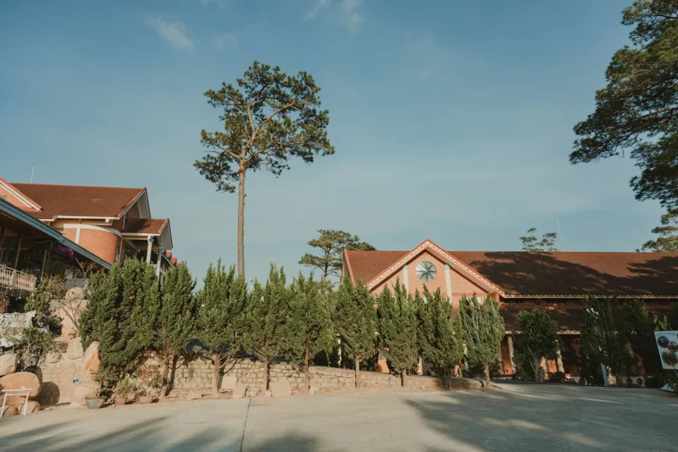 Hình ảnh tại Tô Trường Mạnh 2
